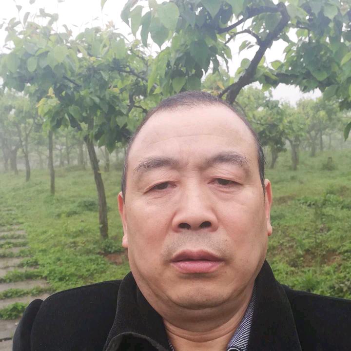 中国龙