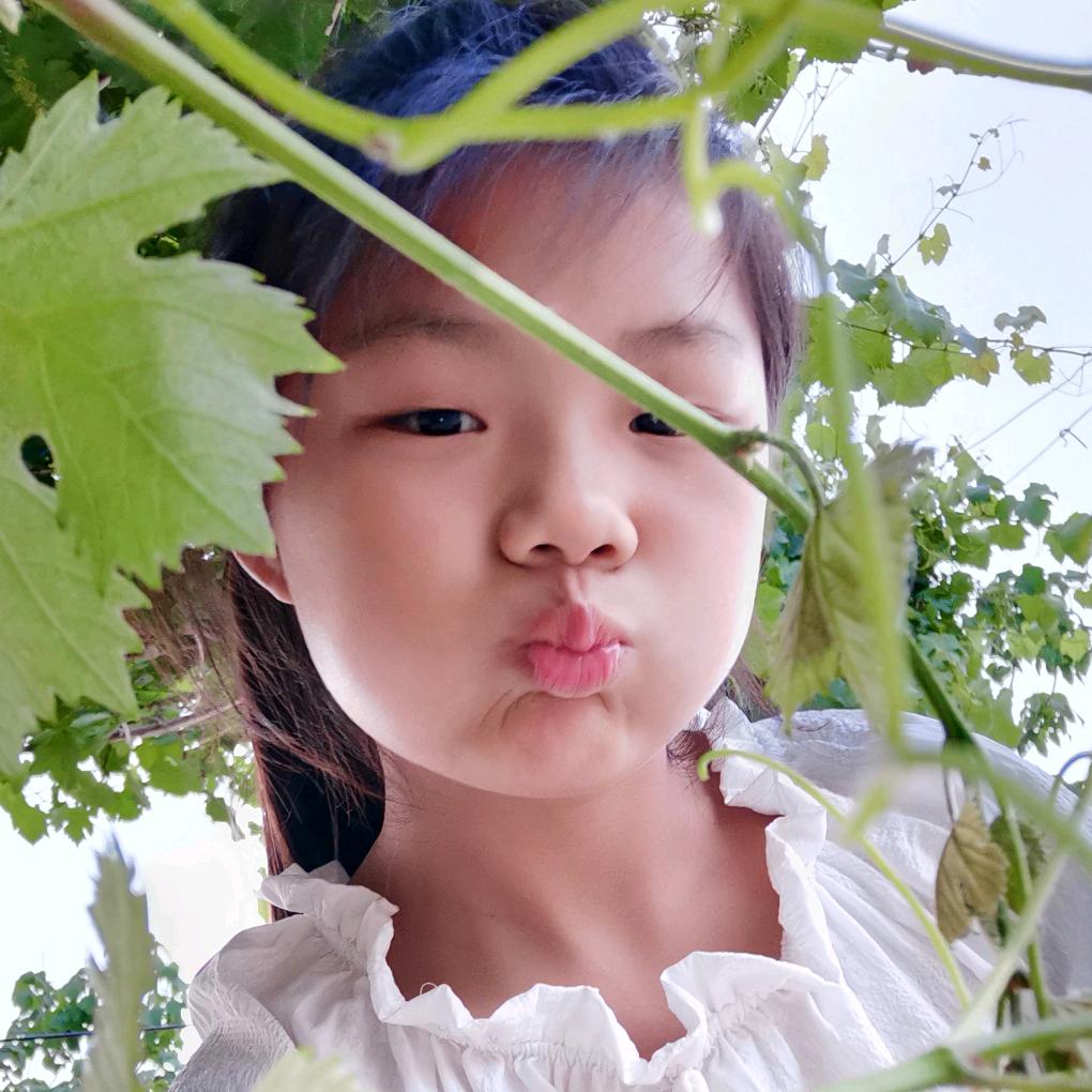 乐    一     🌟li🌟