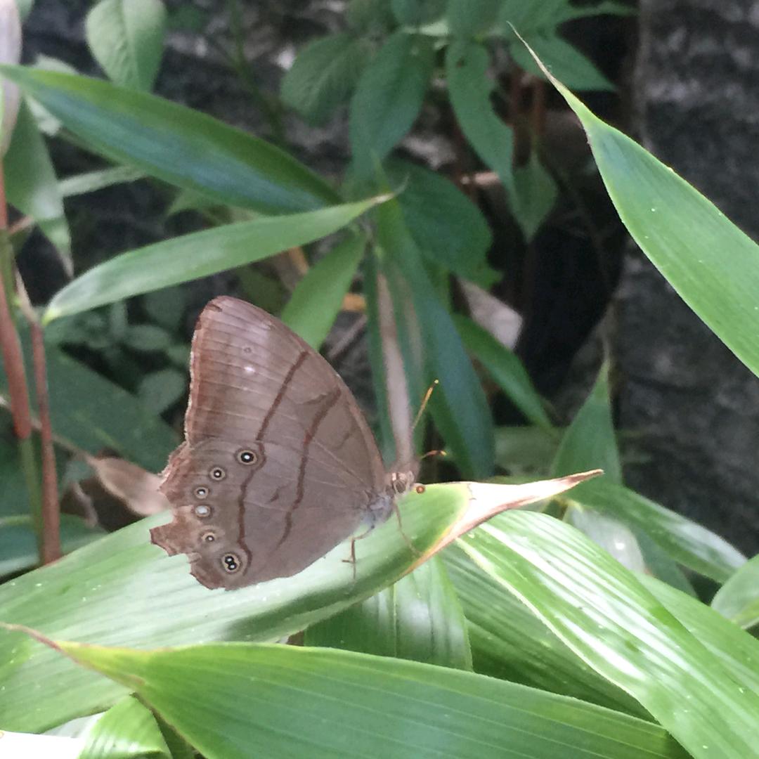 小鱼儿🐟！！！