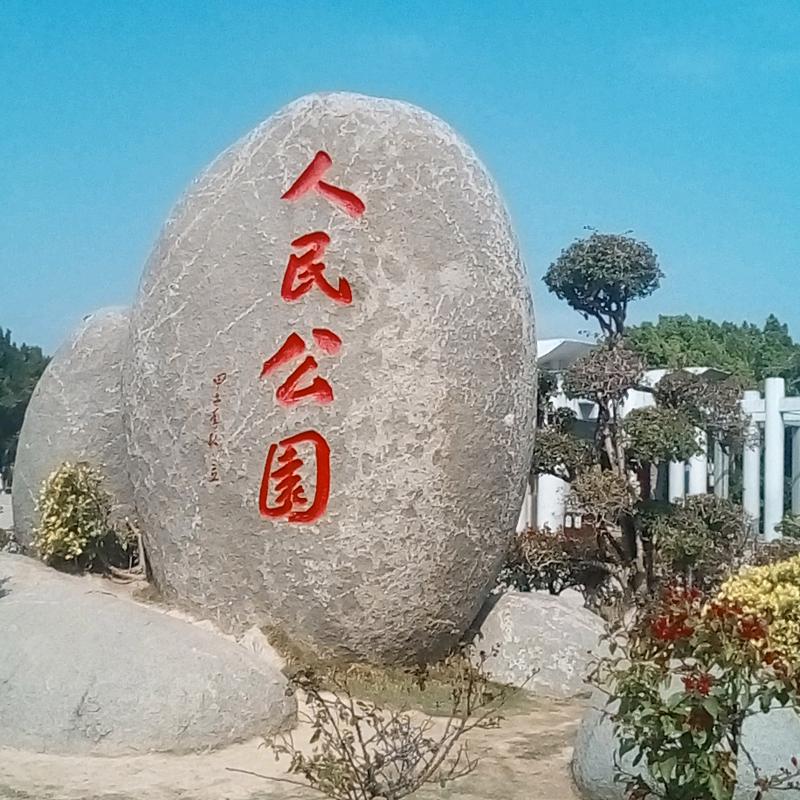 暴风雨中的海燕
