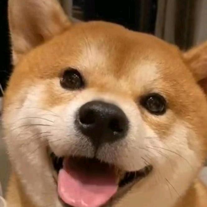 🧟‍♂️🧟‍♂️🧟‍♂️