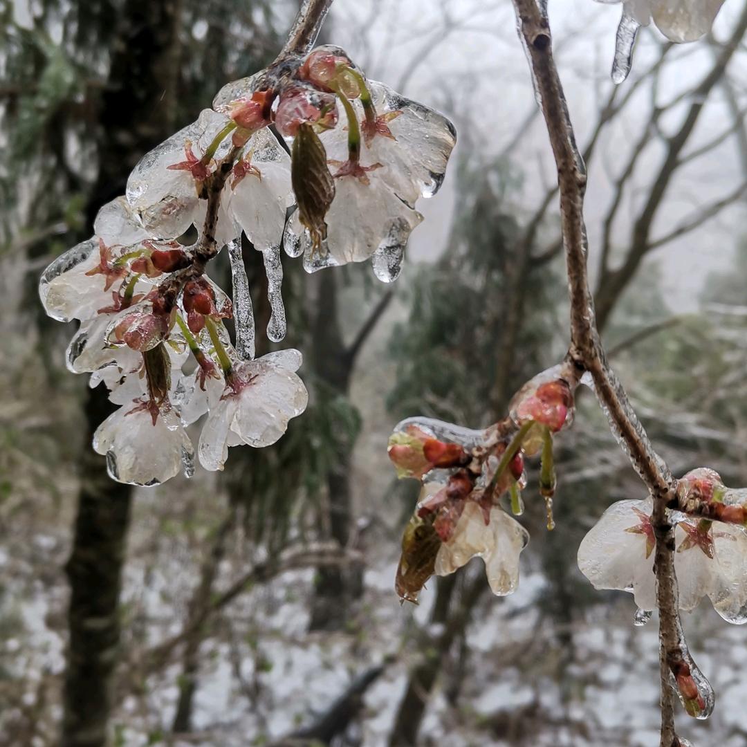 人生看破不说破