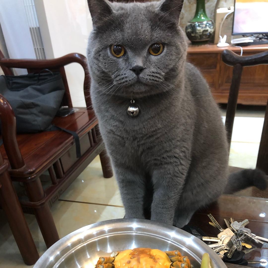 风起云涌