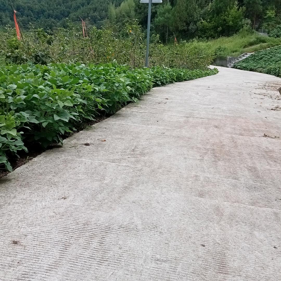 兰兰(记得你哦)