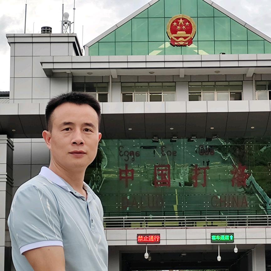 多情的鸽子情缘