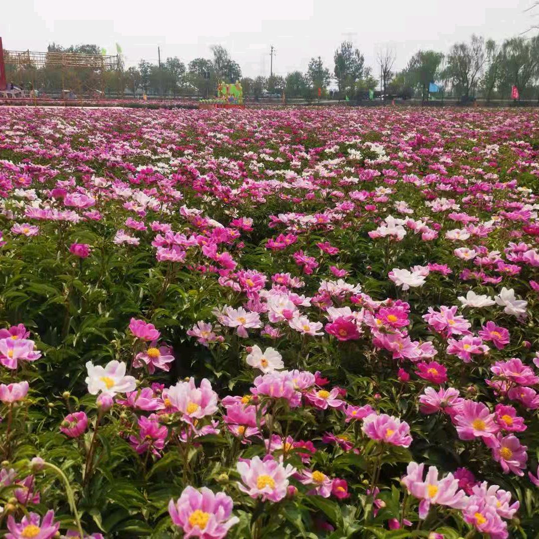 开心快乐美一天