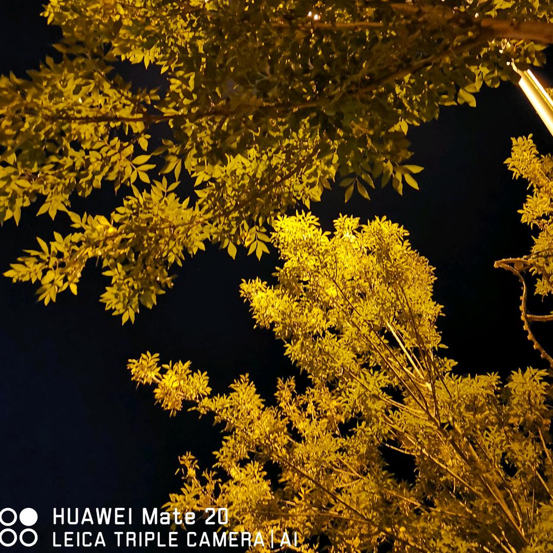 美翼生活红草莓内衣（巨野凰庭苑店）