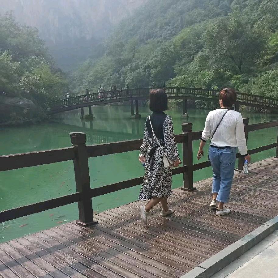 南乐金辉地产赵晓丹