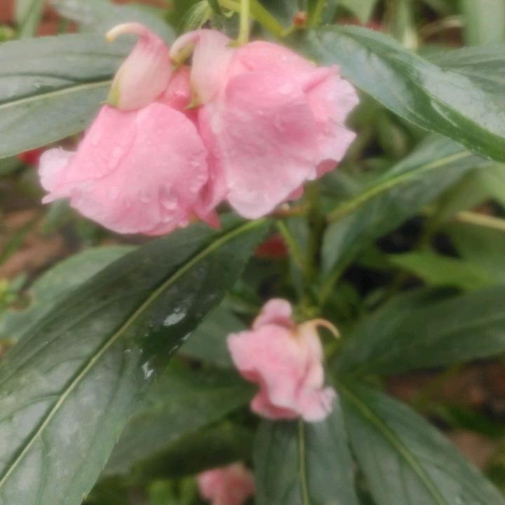 ღ᭄💞多财᭄ᩚ꯭ᩚ℘多亿᭄ᩚ꯭ᩚ💞