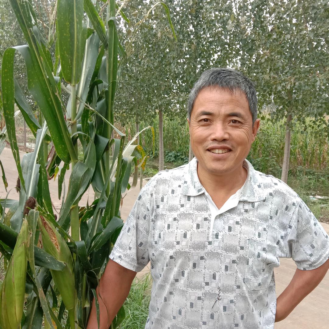 禹城的阳光