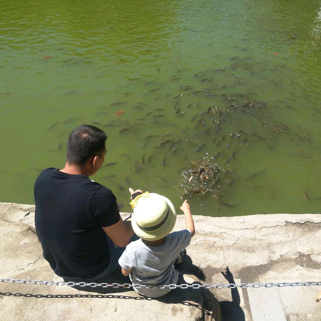 内蒙古包头市内蒙古特产