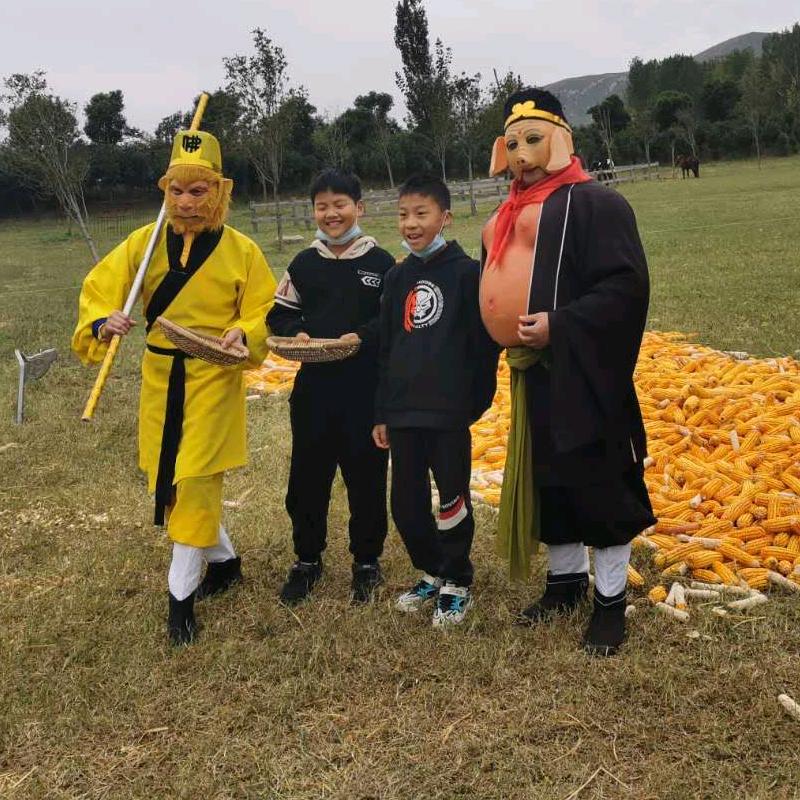 王華