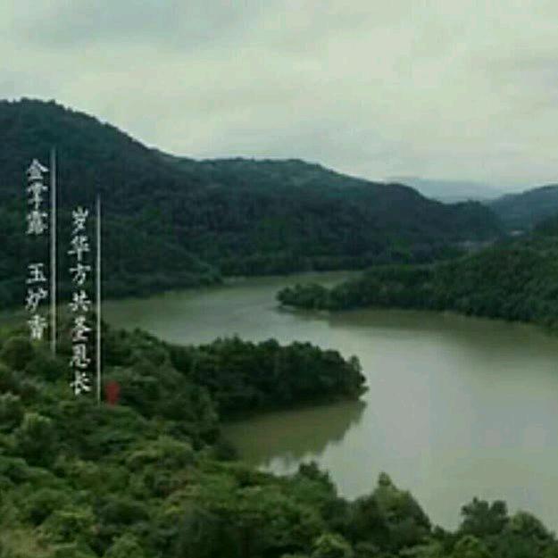 梦境韶华