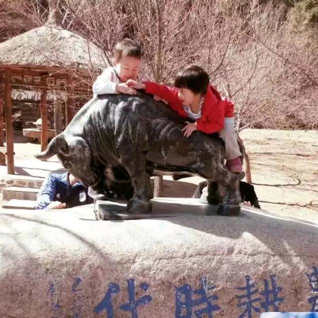 万般皆是命