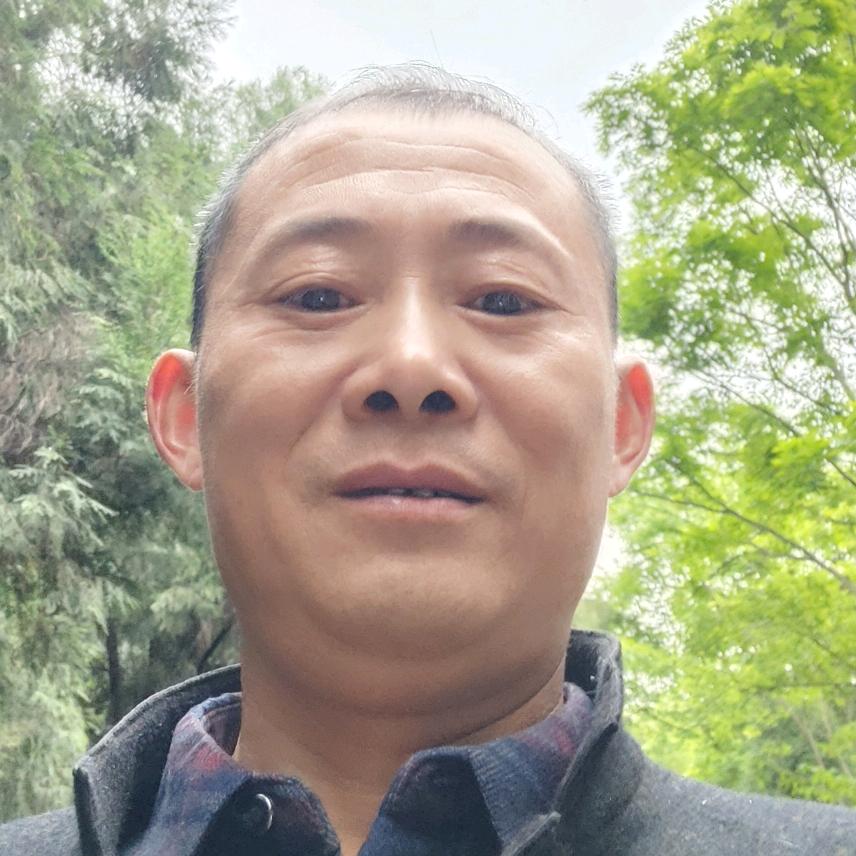 小满绿色蔬菜