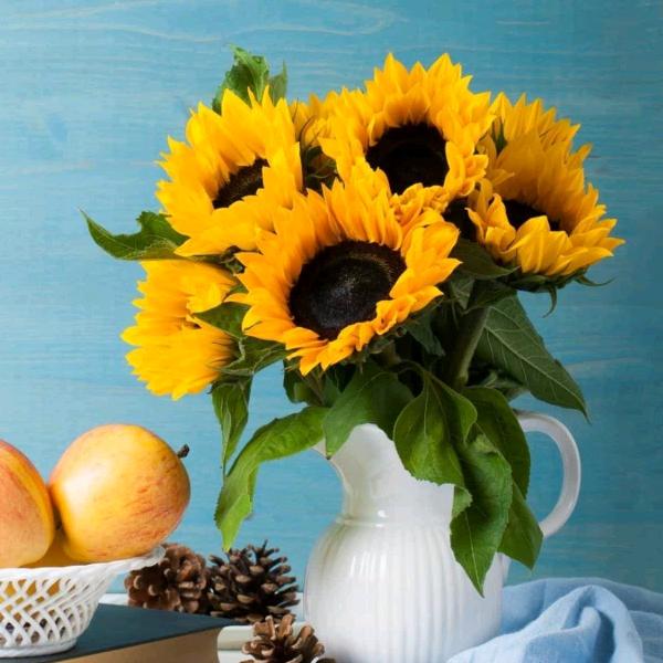 群众办事一一咨询之家