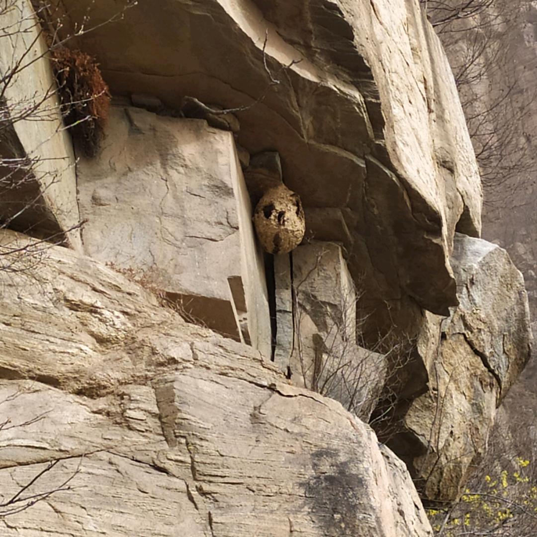 ££偏爱自由€€