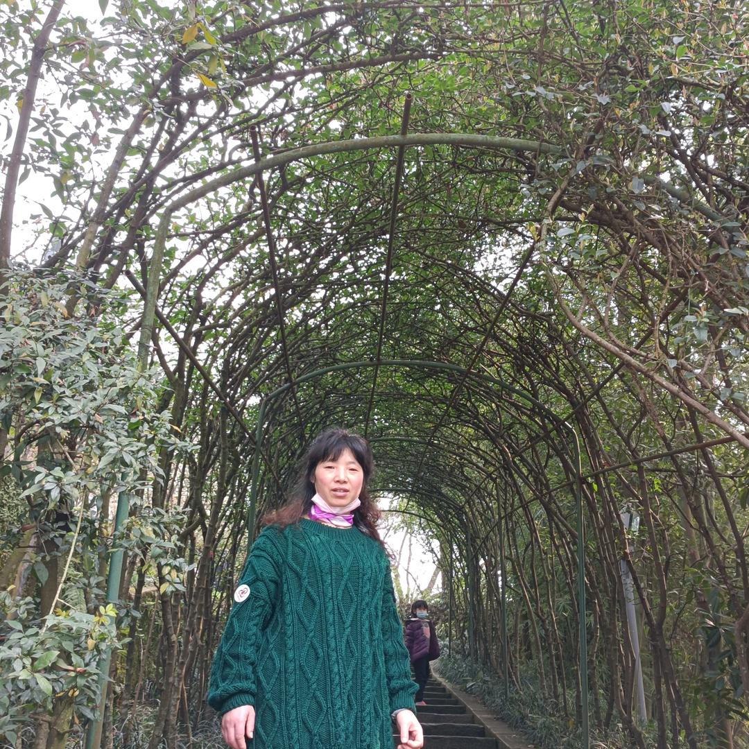乐山北极绒家纺