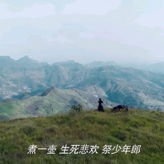 大吉大利发大财的锦鲤头像