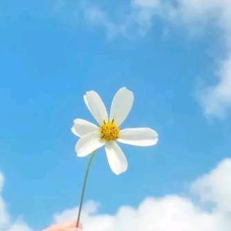 秋雨