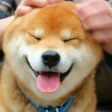娱鱼娱乐汇