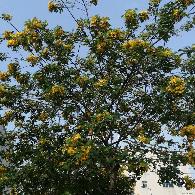 🌈*🌈🎣无名氏是谁🦅💕*🌈