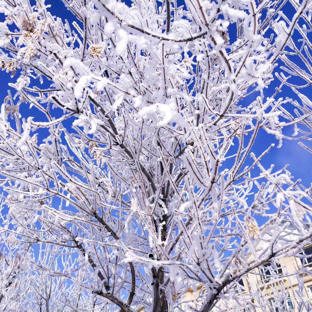 最美的太阳3892对，对口型