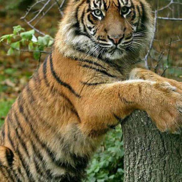 用户9482316475119老王