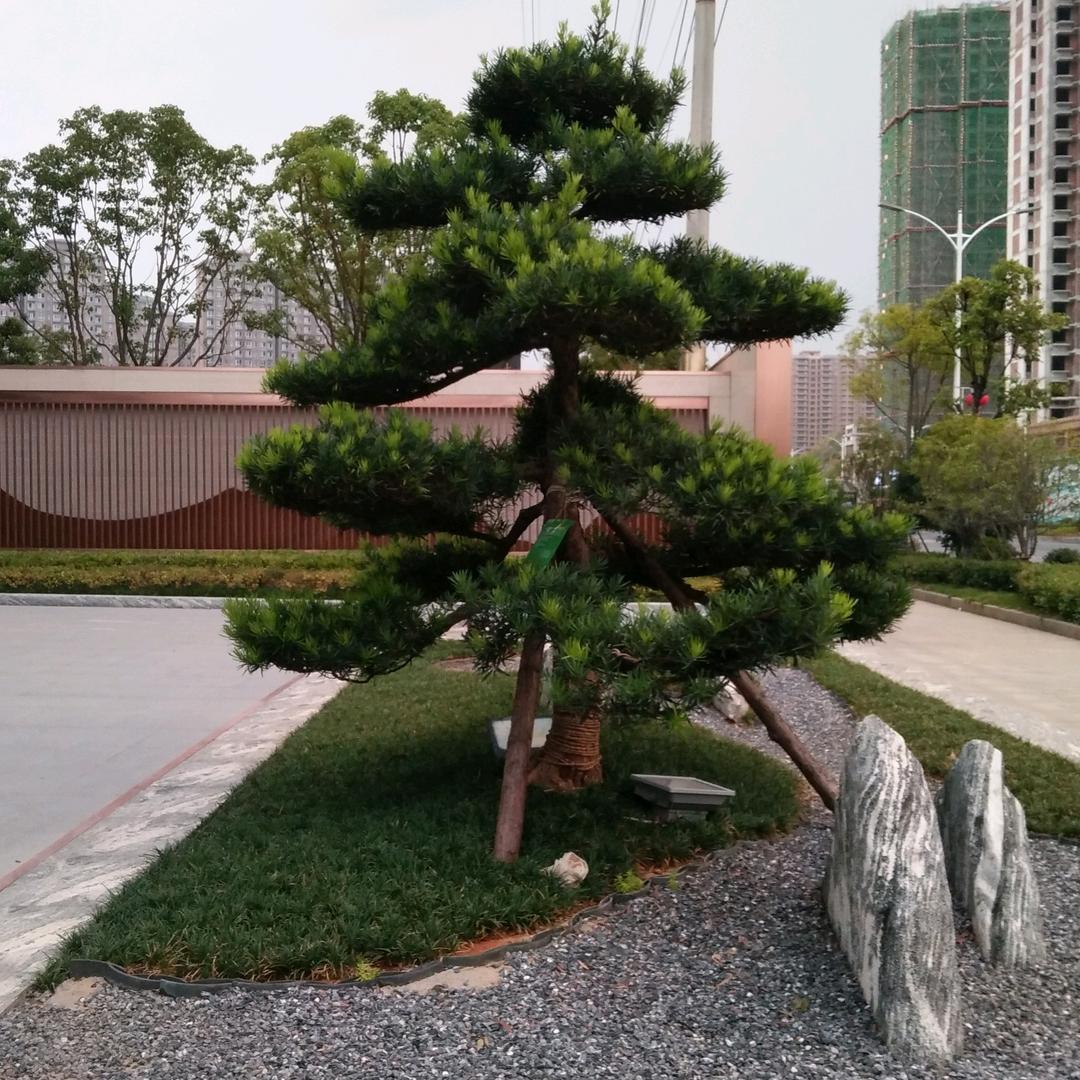 美满幸福