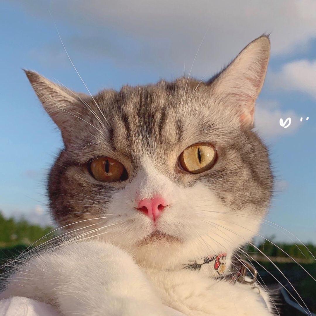 仟客烧烤—阿鹏