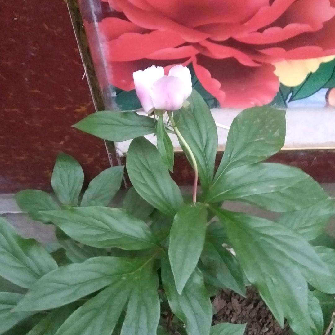 沉默是福