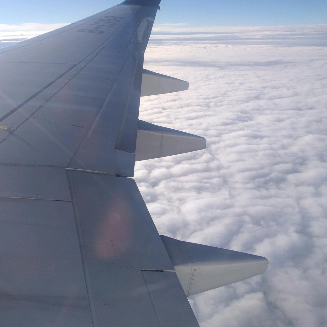 🐸命在天，运在手