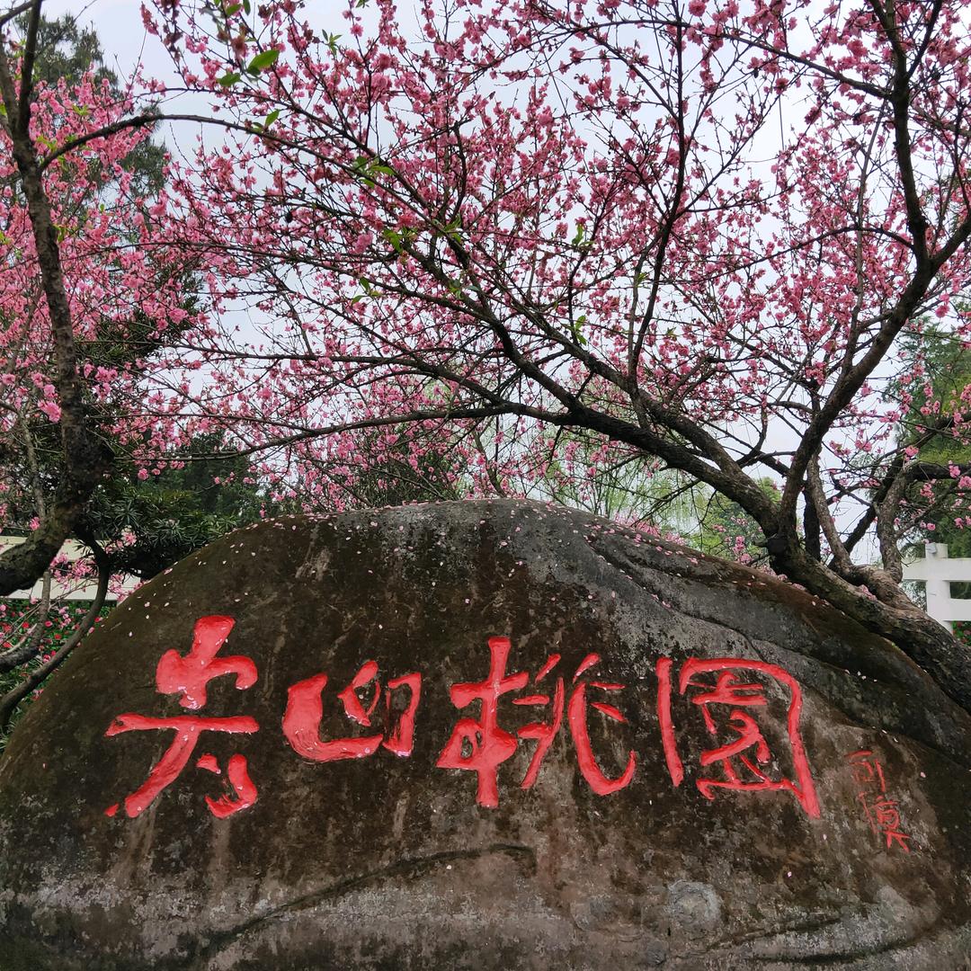 用户鑫儿（蓝蓝）