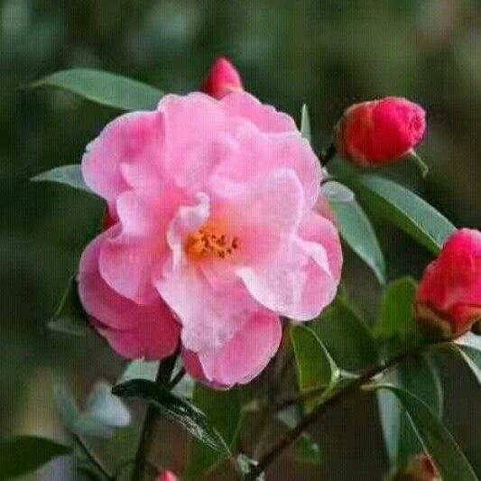 过好自己每一天