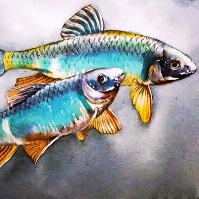 🌈🐑羊羊的春天🔥