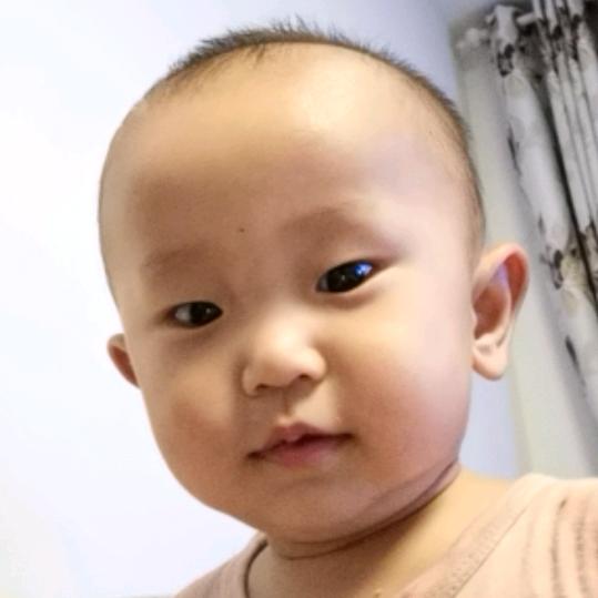 小马奔腾