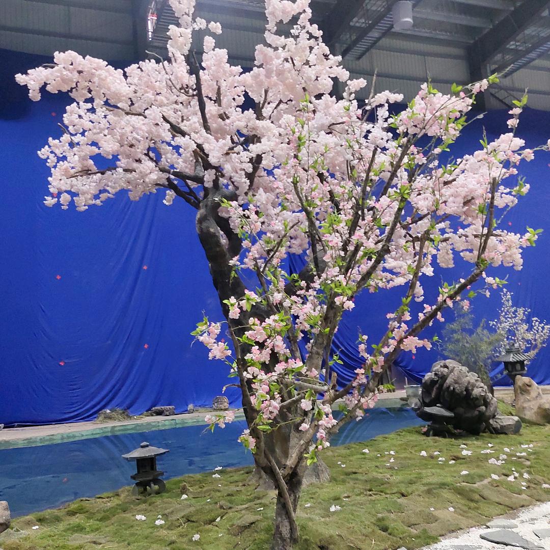 用户4300081220322梁成飞