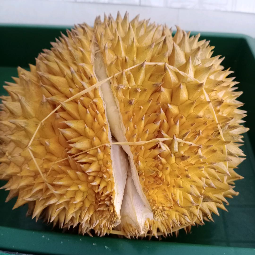 红河吉顺福果园商店