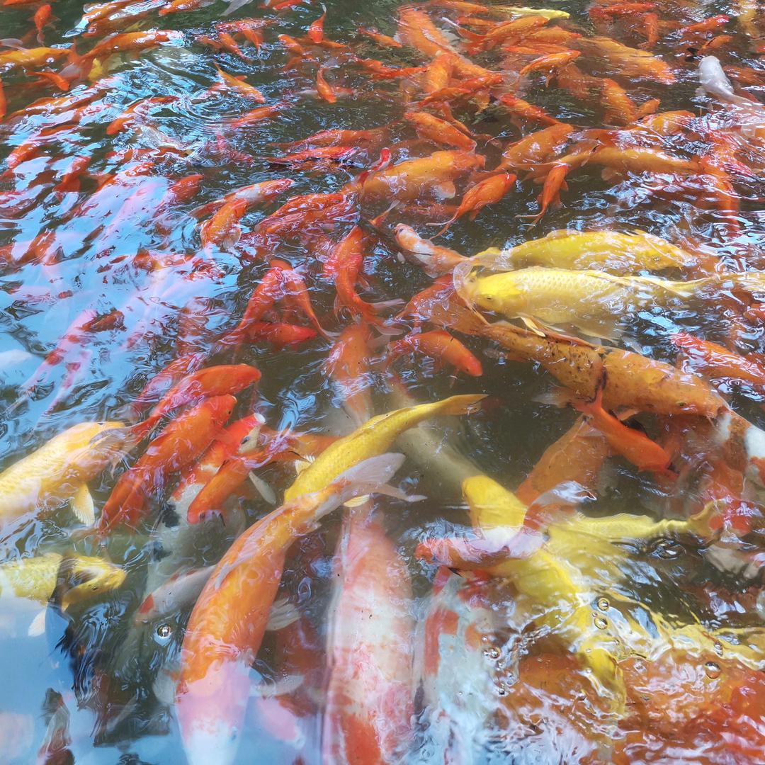 刘文俊