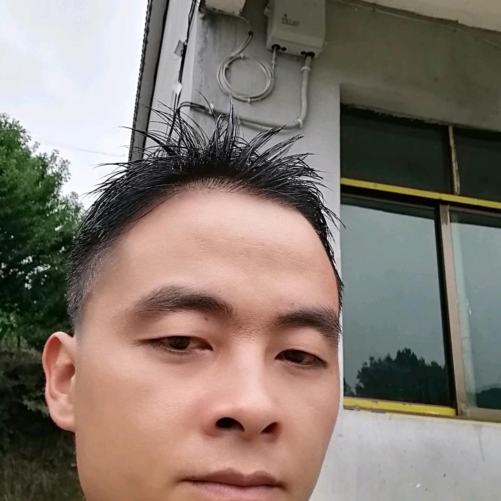 彭哥手工鸟食店