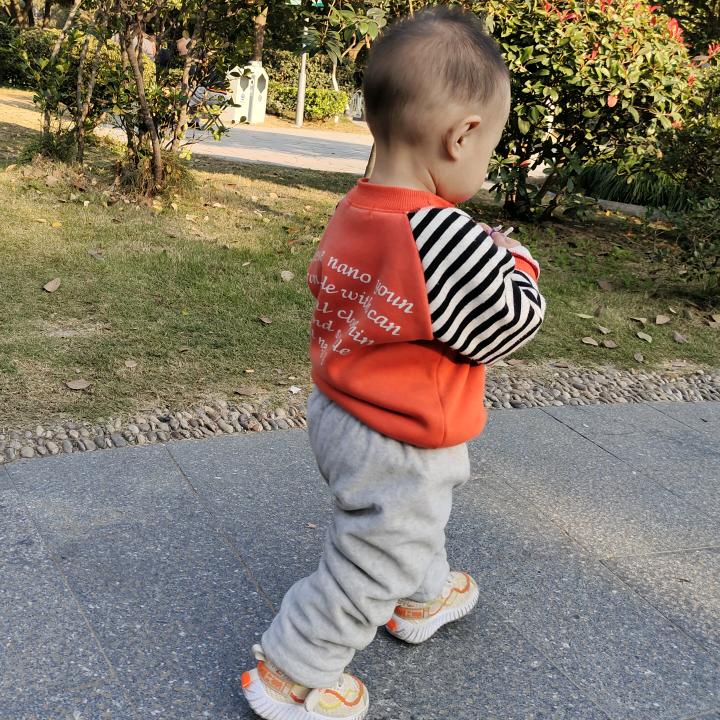 晴儿♛