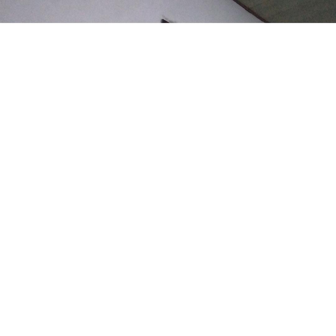 天天都要快乐