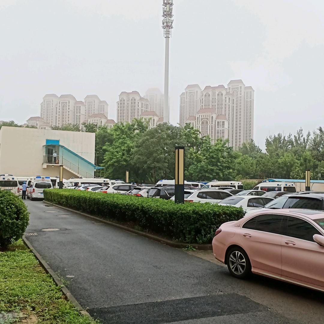 随丛