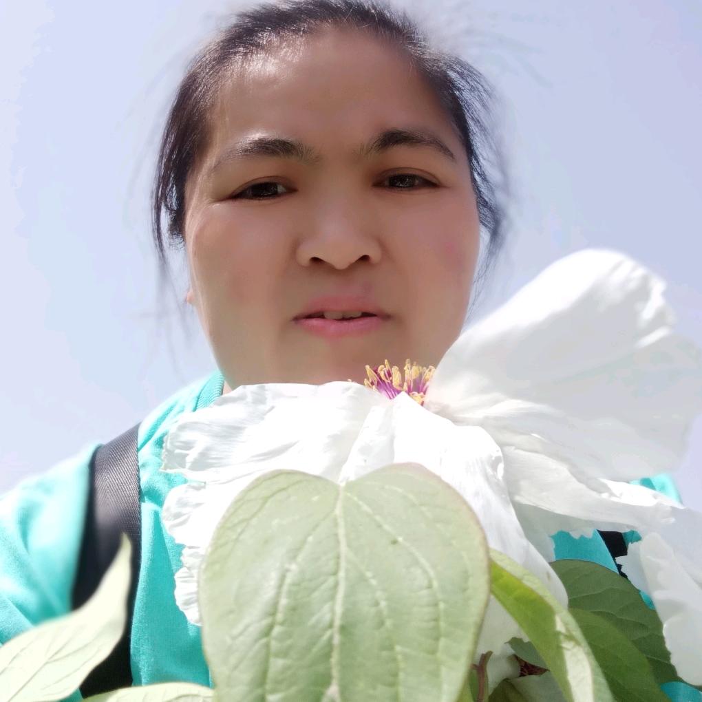 开开心心