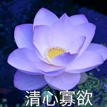 柴油电喷二把刀