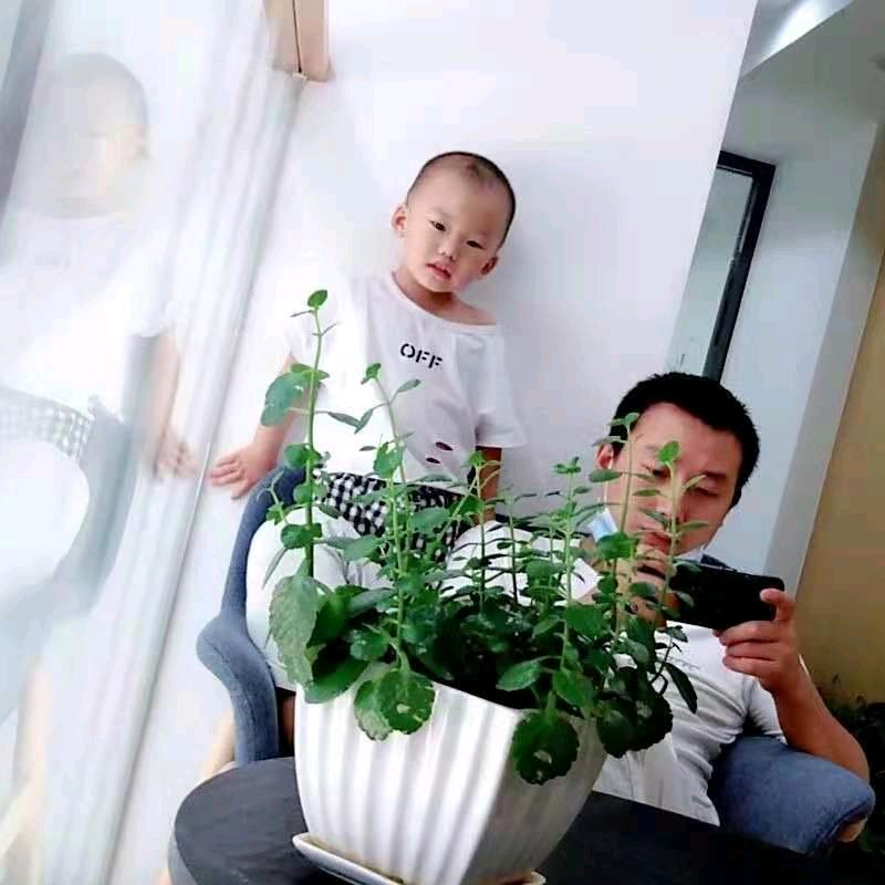 阿波专业消防安装