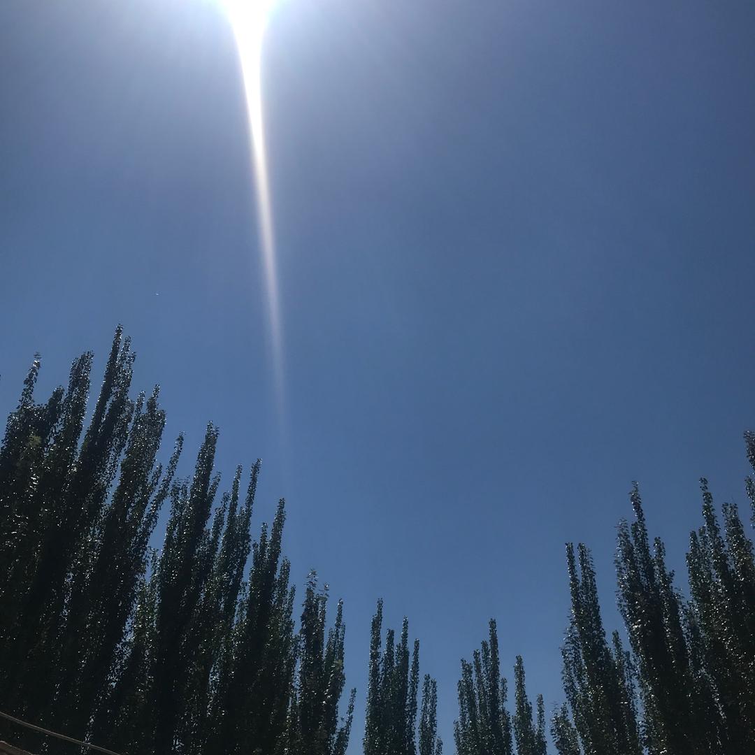 你我他
