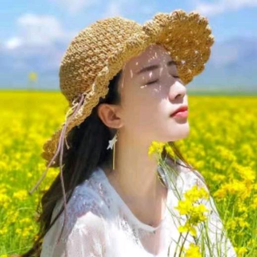 芯诺