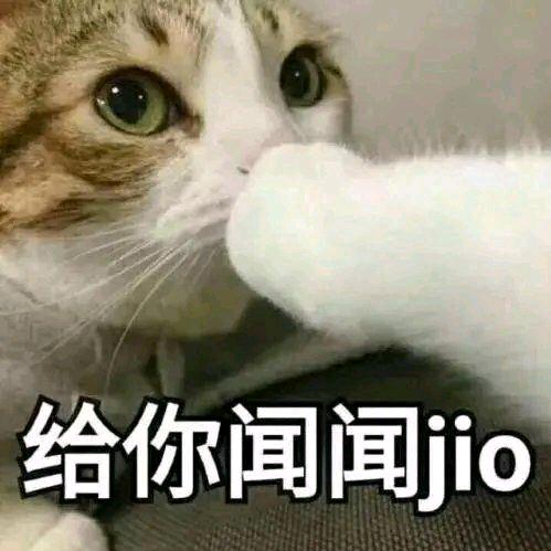 名字不能为空的