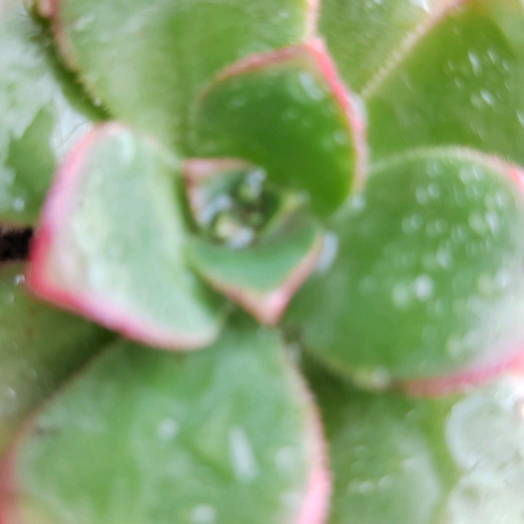蓝天白云大晴天